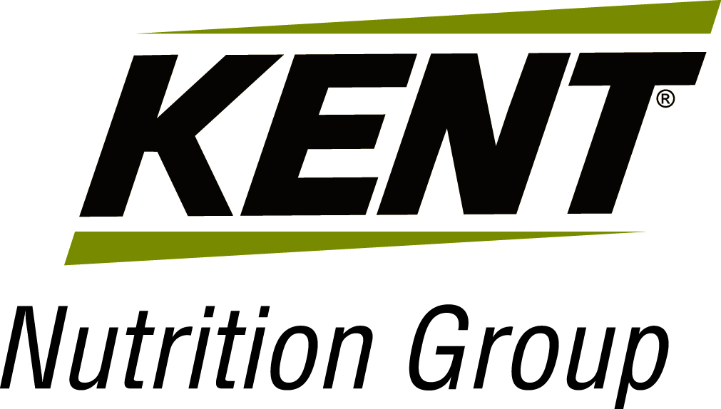 Kent Group Inc 51